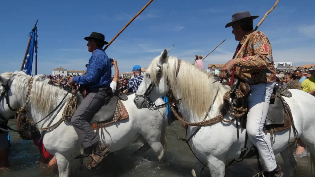 Guardians Saintes Maries de la Mer Camargue