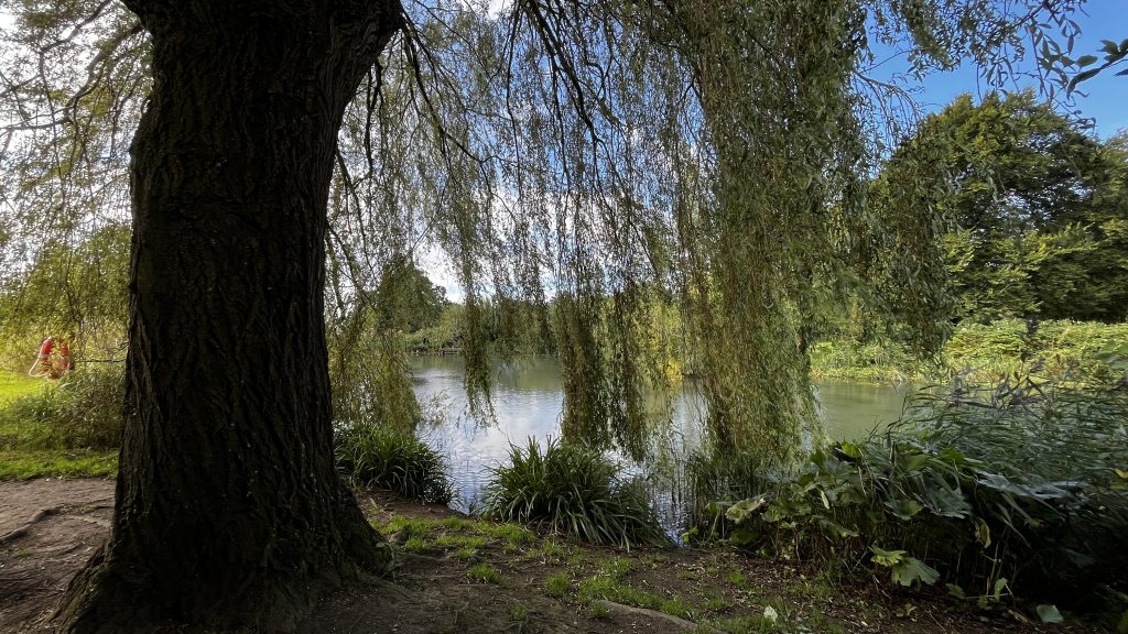 Ancienne Abbaye Glastonbury Angleterre