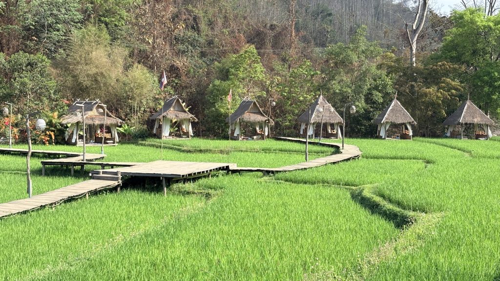 Luang Prabang rizières